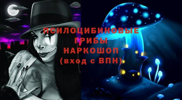 тгк Сатка