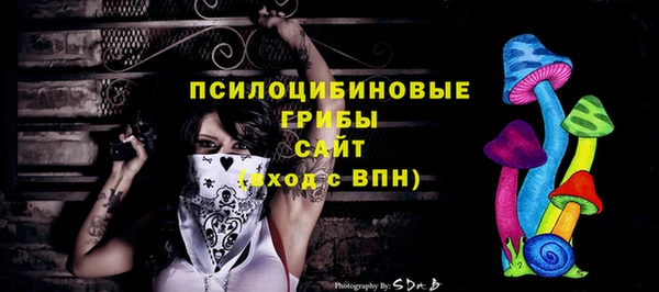 соль ск Аркадак