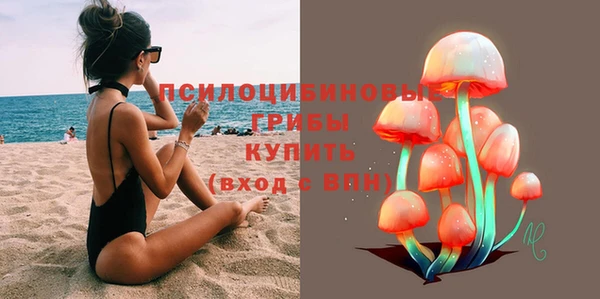 мяу мяу мука Арсеньев