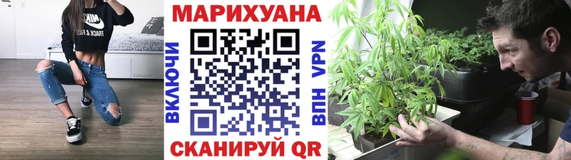 Конопля сатива  kraken как войти  Дзержинский 